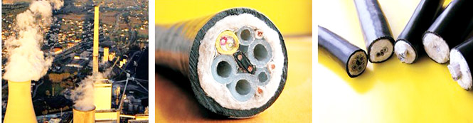 AnHui TianKang (Group)Shares Co.,Ltd.